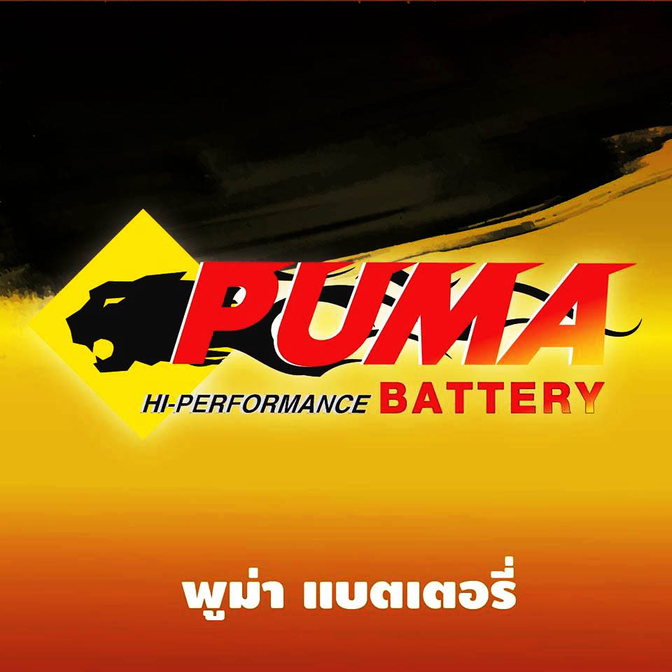 PUMA Battery